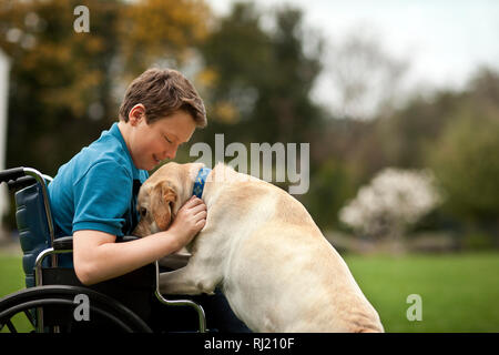 Teenager Junge sitzt in einem Rollstuhl beim Spielen mit einem Labrador Hund. Stockfoto