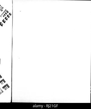 . Amerikanische Fische [microform]: Eine populäre Abhandlung über das Spiel und das Essen Fische in Nordamerika, mit besonderer Bezugnahme auf die Gewohnheiten und die Methoden der Erfassung. Fische; Angeln; Poissons; Pêche sportive. 4^. Bitte beachten Sie, dass diese Bilder sind von der gescannten Seite Bilder, die digital für die Lesbarkeit verbessert haben mögen - Färbung und Aussehen dieser Abbildungen können nicht perfekt dem Original ähneln. extrahiert. Goode, G. Brown (George Brown), 1851-1896. Boston: Estes und Lauriat Stockfoto