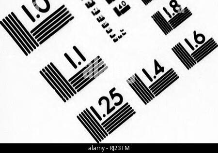 . Die amerikanische Biber und seine Werke [microform]. Biber; Rollen. V-,^, inS&gt; ^.^-^. Bild TEST ZUR BEURTEILUNG ZIEL (MT-3)&amp;^^/Afif&lt;^K. 1,0 â 10Â¢^ Hit III 2.2 1 / "llllllÂ £ Hill 1.4 1.6 I.I 1,25 1 â Â¦â ¢. Bitte beachten Sie, dass diese Bilder sind von der gescannten Seite Bilder, die digital für die Lesbarkeit verbessert haben mögen - Färbung und Aussehen dieser Abbildungen können nicht perfekt dem Original ähneln. extrahiert. Morgan, Lewis H. (Lewis Henry), 1818-1881. Philadelphia: Lippincott J.B. Stockfoto