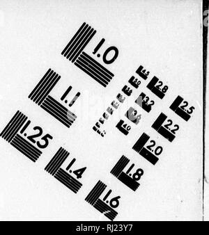 . Die amerikanische Biber und seine Werke [microform]. Biber; Rollen. Bild TEST ZUR BEURTEILUNG ZIEL (MT-S). 1.0 I.I 2,2 m m US u 140 2.0 m i M III-Llll ''^1' - ^^6" âº" 1. Bitte beachten Sie, dass diese Bilder sind von der gescannten Seite Bilder, die digital für die Lesbarkeit verbessert haben mögen - Färbung und Aussehen dieser Abbildungen können nicht perfekt dem Original ähneln. extrahiert. Morgan, Lewis H. (Lewis Henry), 1818-1881. Philadelphia: Lippincott J.B. Stockfoto