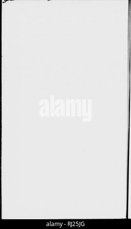 . Lake Superior [microform]: seine physischen Charakter, Vegetation und Tieren, verglichen mit denen anderer und ähnliche Regionen. Natural History; Baron. . Bitte beachten Sie, dass diese Bilder sind von der gescannten Seite Bilder, die digital für die Lesbarkeit verbessert haben mögen - Färbung und Aussehen dieser Abbildungen können nicht perfekt dem Original ähneln. extrahiert. Agassiz, Louis, 1807-1873; es. Boston: Gould, Kendall und Lincoln Stockfoto