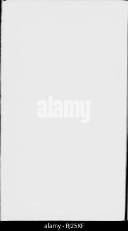 . Lake Superior [microform]: seine physischen Charakter, Vegetation und Tieren, verglichen mit denen anderer und ähnliche Regionen. Natural History; Baron. . Bitte beachten Sie, dass diese Bilder sind von der gescannten Seite Bilder, die digital für die Lesbarkeit verbessert haben mögen - Färbung und Aussehen dieser Abbildungen können nicht perfekt dem Original ähneln. extrahiert. Agassiz, Louis, 1807-1873; es. Boston: Gould, Kendall und Lincoln Stockfoto