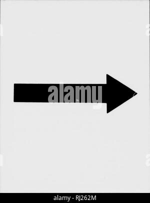 . Lake Superior [microform]: seine physischen Charakter, Vegetation und Tieren, verglichen mit denen anderer und ähnliche Regionen. Natural History; Baron. . Bitte beachten Sie, dass diese Bilder sind von der gescannten Seite Bilder, die digital für die Lesbarkeit verbessert haben mögen - Färbung und Aussehen dieser Abbildungen können nicht perfekt dem Original ähneln. extrahiert. Agassiz, Louis, 1807-1873; es. Boston: Gould, Kendall und Lincoln Stockfoto