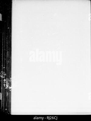 . Die Silva von Nordamerika [microform]: Eine Beschreibung der Baum, natürlich in Nordamerika exklusive von Mexiko wächst. Bäume; Bäume; Arbres; Arbres. . Bitte beachten Sie, dass diese Bilder sind von der gescannten Seite Bilder, die digital für die Lesbarkeit verbessert haben mögen - Färbung und Aussehen dieser Abbildungen können nicht perfekt dem Original ähneln. extrahiert. Sargent, Charles Sprague, 1841-1897; Faxon, Charles Edward, 1846-1918. Boston; New York: Houghton Mifflin, Stockfoto