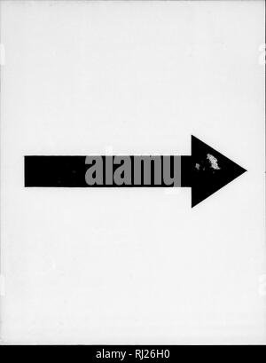 . Die Silva von Nordamerika [microform]: Eine Beschreibung der Baum, natürlich in Nordamerika exklusive von Mexiko wächst. Bäume; Bäume; Arbres; Arbres. . Bitte beachten Sie, dass diese Bilder sind von der gescannten Seite Bilder, die digital für die Lesbarkeit verbessert haben mögen - Färbung und Aussehen dieser Abbildungen können nicht perfekt dem Original ähneln. extrahiert. Sargent, Charles Sprague, 1841-1897; Faxon, Charles Edward, 1846-1918. Boston; New York: Houghton Mifflin, Stockfoto