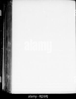 . Die Silva von Nordamerika [microform]: Eine Beschreibung der Baum, natürlich in Nordamerika exklusive von Mexiko wächst. Bäume; Bäume; Arbres; Arbres. . Bitte beachten Sie, dass diese Bilder sind von der gescannten Seite Bilder, die digital für die Lesbarkeit verbessert haben mögen - Färbung und Aussehen dieser Abbildungen können nicht perfekt dem Original ähneln. extrahiert. Sargent, Charles Sprague, 1841-1897; Faxon, Charles Edward, 1846-1918. Boston; New York: Houghton Mifflin, Stockfoto