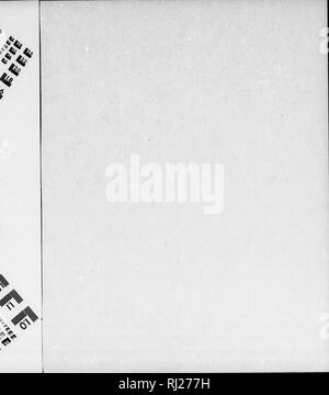 . Die Silva von Nordamerika [microform]: Eine Beschreibung der Baum, natürlich in Nordamerika exklusive von Mexiko wächst. Bäume; Bäume; Arbres; Arbres. ^^v^*^^^. Bitte beachten Sie, dass diese Bilder sind von der gescannten Seite Bilder, die digital für die Lesbarkeit verbessert haben mögen - Färbung und Aussehen dieser Abbildungen können nicht perfekt dem Original ähneln. extrahiert. Sargent, Charles Sprague, 1841-1897; Faxon, Charles Edward, 1846-1918. Boston; New York: Houghton Mifflin, Stockfoto