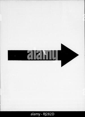 . Die Silva von Nordamerika [microform]: Eine Beschreibung der Baum, natürlich in Nordamerika exklusive von Mexiko wächst. Bäume; Bäume; Arbres; Arbres. . Bitte beachten Sie, dass diese Bilder sind von der gescannten Seite Bilder, die digital für die Lesbarkeit verbessert haben mögen - Färbung und Aussehen dieser Abbildungen können nicht perfekt dem Original ähneln. extrahiert. Sargent, Charles Sprague, 1841-1897; Faxon, Charles Edward, 1846-1918. Boston; New York: Houghton Mifflin, Stockfoto