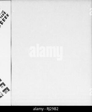 . Die Silva von Nordamerika [microform]: Eine Beschreibung der Baum, natürlich in Nordamerika exklusive von Mexiko wächst. Bäume; Bäume; Arbres; Arbres. . Bitte beachten Sie, dass diese Bilder sind von der gescannten Seite Bilder, die digital für die Lesbarkeit verbessert haben mögen - Färbung und Aussehen dieser Abbildungen können nicht perfekt dem Original ähneln. extrahiert. Sargent, Charles Sprague, 1841-1897; Faxon, Charles Edward, 1846-1918. Boston; New York: Houghton Mifflin, Stockfoto