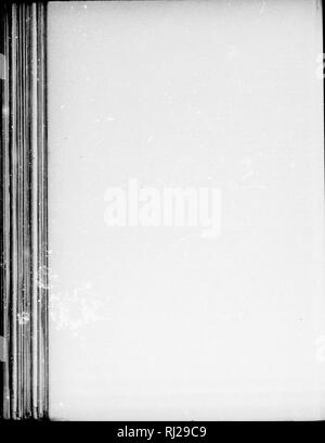 . Die Silva von Nordamerika [microform]: Eine Beschreibung der Baum, natürlich in Nordamerika exklusive von Mexiko wächst. Bäume; Bäume; Arbres; Arbres. . Bitte beachten Sie, dass diese Bilder sind von der gescannten Seite Bilder, die digital für die Lesbarkeit verbessert haben mögen - Färbung und Aussehen dieser Abbildungen können nicht perfekt dem Original ähneln. extrahiert. Sargent, Charles Sprague, 1841-1897; Faxon, Charles Edward, 1846-1918. Boston; New York: Houghton Mifflin, Stockfoto