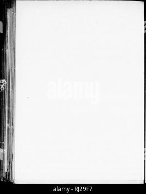 . Die Silva von Nordamerika [microform]: Eine Beschreibung der Baum, natürlich in Nordamerika exklusive von Mexiko wächst. Bäume; Bäume; Arbres; Arbres. IB^. Bitte beachten Sie, dass diese Bilder sind von der gescannten Seite Bilder, die digital für die Lesbarkeit verbessert haben mögen - Färbung und Aussehen dieser Abbildungen können nicht perfekt dem Original ähneln. extrahiert. Sargent, Charles Sprague, 1841-1897; Faxon, Charles Edward, 1846-1918. Boston; New York: Houghton Mifflin, Stockfoto