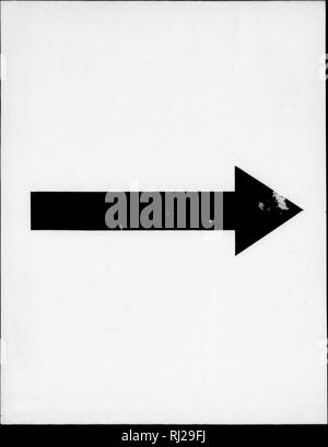 . Die Silva von Nordamerika [microform]: Eine Beschreibung der Baum, natürlich in Nordamerika exklusive von Mexiko wächst. Bäume; Bäume; Arbres; Arbres. c^. Bitte beachten Sie, dass diese Bilder sind von der gescannten Seite Bilder, die digital für die Lesbarkeit verbessert haben mögen - Färbung und Aussehen dieser Abbildungen können nicht perfekt dem Original ähneln. extrahiert. Sargent, Charles Sprague, 1841-1897; Faxon, Charles Edward, 1846-1918. Boston; New York: Houghton Mifflin, Stockfoto