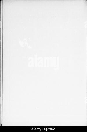 . Die Silva von Nordamerika [microform]: Eine Beschreibung der Baum, natürlich in Nordamerika exklusive von Mexiko wächst. Bäume; Bäume; Arbres; Arbres. ]. Bitte beachten Sie, dass diese Bilder sind von der gescannten Seite Bilder, die digital für die Lesbarkeit verbessert haben mögen - Färbung und Aussehen dieser Abbildungen können nicht perfekt dem Original ähneln. extrahiert. Sargent, Charles Sprague, 1841-1897; Faxon, Charles Edward, 1846-1918. Boston; New York: Houghton Mifflin, Stockfoto