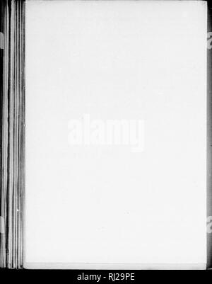 . Die Silva von Nordamerika [microform]: Eine Beschreibung der Baum, natürlich in Nordamerika exklusive von Mexiko wächst. Bäume; Bäume; Arbres; Arbres. . Bitte beachten Sie, dass diese Bilder sind von der gescannten Seite Bilder, die digital für die Lesbarkeit verbessert haben mögen - Färbung und Aussehen dieser Abbildungen können nicht perfekt dem Original ähneln. extrahiert. Sargent, Charles Sprague, 1841-1897; Faxon, Charles Edward, 1846-1918. Boston; New York: Houghton Mifflin, Stockfoto