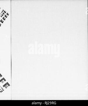 . Die Silva von Nordamerika [microform]: Eine Beschreibung der Baum, natürlich in Nordamerika exklusive von Mexiko wächst. Bäume; Bäume; Arbres; Arbres. Jl^. Bitte beachten Sie, dass diese Bilder sind von der gescannten Seite Bilder, die digital für die Lesbarkeit verbessert haben mögen - Färbung und Aussehen dieser Abbildungen können nicht perfekt dem Original ähneln. extrahiert. Sargent, Charles Sprague, 1841-1897; Faxon, Charles Edward, 1846-1918. Boston; New York: Houghton Mifflin, Stockfoto