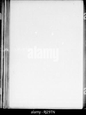 . Die Silva von Nordamerika [microform]: Eine Beschreibung der Baum, natürlich in Nordamerika exklusive von Mexiko wächst. Bäume; Bäume; Arbres; Arbres. . Bitte beachten Sie, dass diese Bilder sind von der gescannten Seite Bilder, die digital für die Lesbarkeit verbessert haben mögen - Färbung und Aussehen dieser Abbildungen können nicht perfekt dem Original ähneln. extrahiert. Sargent, Charles Sprague, 1841-1897; Faxon, Charles Edward, 1846-1918. Boston; New York: Houghton Mifflin, Stockfoto