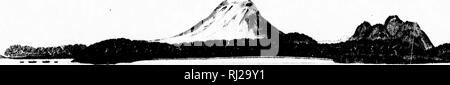 . Eine Reise rund um die Welt, sondern vor allem an der Nordwestküste von Amerika [microform]: 1785, 1786, 1787 und 1788, in der King George und Queen Charlotte, Kapitäne Portlock und Dixon; gewidmet, mit Genehmigung, zu Sir Joseph Banks, Bart. Reisen rund um die Welt; Botanik; Zoologie; Voyages Autour du Monde; Botanique; Zoologie. . Bitte beachten Sie, dass diese Bilder sind von der gescannten Seite Bilder, die digital für die Lesbarkeit verbessert haben mögen - Färbung und Aussehen dieser Abbildungen können nicht perfekt dem Original ähneln. extrahiert. Beresford, William, fl. Stockfoto
