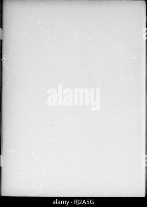 . Die Silva von Nordamerika [microform]: Eine Beschreibung der Baum, natürlich in Nordamerika exklusive von Mexiko wächst. Bäume; Bäume; Arbres; Arbres. . Bitte beachten Sie, dass diese Bilder sind von der gescannten Seite Bilder, die digital für die Lesbarkeit verbessert haben mögen - Färbung und Aussehen dieser Abbildungen können nicht perfekt dem Original ähneln. extrahiert. Sargent, Charles Sprague, 1841-1897; Faxon, Charles Edward, 1846-1918. Boston; New York: Houghton Mifflin, Stockfoto