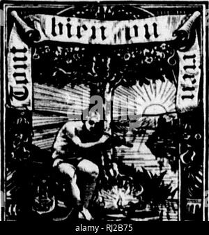 . Die Silva von Nordamerika [microform]: Eine Beschreibung der Baum, natürlich in Nordamerika exklusive von Mexiko wächst. Bäume; Bäume; Dicotyledons; Arbres; Arbres; Dicotylédones. Die SILVA VON NORDAMERIKA EINE BESCHREIBUNG AUF DEN BÄUMEN, DIE WÄCHST NATÜRLICH IN NORDAMERIKA EXKLUSIVE VON MEXIKO CHARLES SPRAGUE SARGENT DIRKCTOB TllK ARNOLD ARBORETUM OK OK HARVARD UNI 3 ITT 3 iUu) 3 behandelt) und 9 tuitl figurcis nalfise! 3 Dratsn von Reifen BT CHARLES EDWARD FAXON O BAND VII LA URA CEJE - JUGLANDA CEM. M!]^@ Razi (BOSTON UND NEW YORK Houghton Mifflin UND FIRMA MDCCCXCV. Bitte beachten Sie, dass diese im Stockfoto