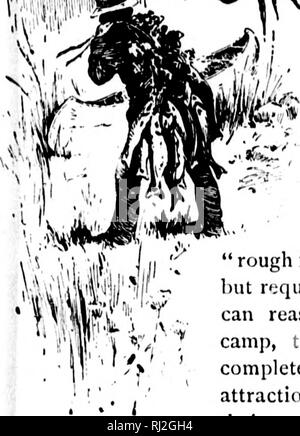 . Angeln und Schießen entlang der Linien von der Canadian Pacific Railway, in den Provinzen Ontario, Quebec, British Columbia, der maritimen Provinzen, die Wiesen und Berge der westlichen Kanada und im Bundesstaat Maine [microform]. Angeln; Jagd; Pêche sportive; Chasse. ns. zwei Fragen, die Sportler nun asiving sind, wo ist der Sport zu finden, und das ist der beste Weg, um es zu erhalten? Dieses kleine Buch ist für solche Interessenten bei der Entscheidung für sich selbst zu helfen. Es beschäftigt sich mit den Themen, - Angeln und Schießen, - und das ist auch beabsichtigt Indi - cate Gemeinden im Allgemeinen und Stockfoto
