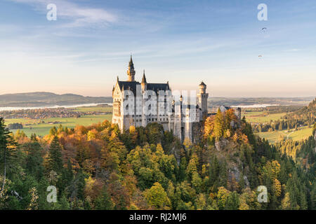 Schloss Neuschwanstein durch farbige Tannen umgeben. Schwangau, Schwaben, Bayern, Deutschland. Stockfoto