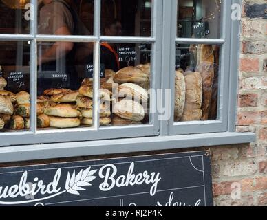 Das Bluebird Bäckerei zeigt lecker aussehenden Brot in Ihrem Fenster auf wenig Shambles Road, York, England. Stockfoto