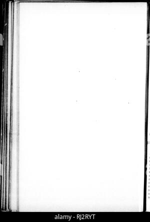 . Katalog der Nordamerikanischen Werken nördlich von Mexiko, exklusive der unteren Kryptogamen [microform]. Botanik; Pflanzen; Botanique; Plantes. . Bitte beachten Sie, dass diese Bilder sind von der gescannten Seite Bilder, die digital für die Lesbarkeit verbessert haben mögen - Färbung und Aussehen dieser Abbildungen können nicht perfekt dem Original ähneln. extrahiert. Heller, A. A. (Amos Arthur), 1867-1944. [S. l. : N. n. ] Stockfoto