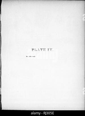 . Die tertiären Insekten von Nordamerika [microform]. Insekten; Paläontologie; Insectes Fossilien; Paléontologie. . Bitte beachten Sie, dass diese Bilder sind von der gescannten Seite Bilder, die digital für die Lesbarkeit verbessert haben mögen - Färbung und Aussehen dieser Abbildungen können nicht perfekt dem Original ähneln. extrahiert. Scudder. Washington: G. S. O. Stockfoto