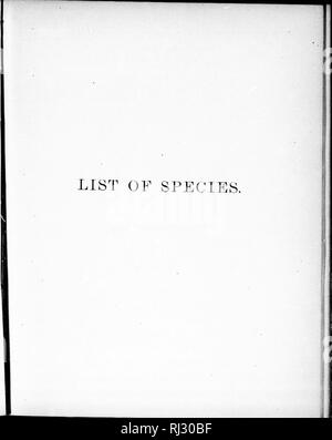 . Die tertiären Insekten von Nordamerika [microform]. Insekten; Paläontologie; Insectes Fossilien; Paléontologie. . Bitte beachten Sie, dass diese Bilder sind von der gescannten Seite Bilder, die digital für die Lesbarkeit verbessert haben mögen - Färbung und Aussehen dieser Abbildungen können nicht perfekt dem Original ähneln. extrahiert. Scudder. Washington: G. S. O. Stockfoto