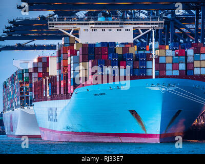 Handel - Maersk Line Containerschiff Emma Maersk lädt und entlädt Container im Hafen von Felixstowe, der größte Containerhafen in Großbritannien Stockfoto