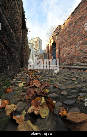 York Minster Gespenst Stockfoto