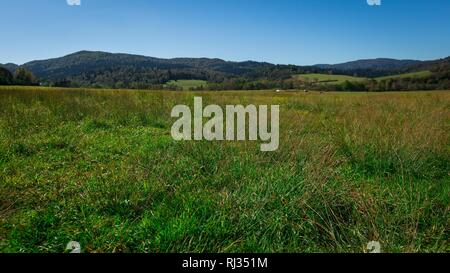 Bieszczady-gebirge in Polen. Herbst Berglandschaft. Stockfoto