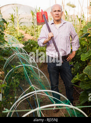 Portrait von ausgewachsenen männlichen Gärtner bei der Arbeit im Gewächshaus Stockfoto