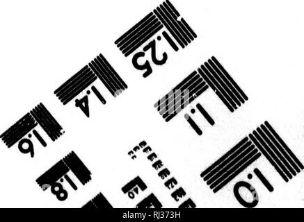 . Berichte über die See- und die Fischerei von New Brunswick [microform]. Fischerei; Fischerei; Fische; Pêches; Pêches; Poissons. HiotDgraphijn Sciences Corporation. 33 m.%1 MAIN" 1 mit WnSTIR. N.Y. ) 4 StO (7 l") S7 a-4 SC 3. Bitte beachten Sie, dass diese Bilder sind von der gescannten Seite Bilder, die digital für die Lesbarkeit verbessert haben mögen - Färbung und Aussehen dieser Abbildungen können nicht perfekt dem Original ähneln. extrahiert. Perley, M. H. (Moses Henry), 1804-1862. Fredericton [N. B.]: J. Simpson Stockfoto