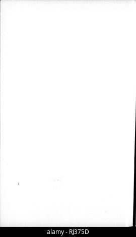. Katalog der Nordamerikanischen Werken nördlich von Mexiko, exklusive der unteren Kryptogamen [microform]. Botanik; Pflanzen; Botanique; Plantes. . Bitte beachten Sie, dass diese Bilder sind von der gescannten Seite Bilder, die digital für die Lesbarkeit verbessert haben mögen - Färbung und Aussehen dieser Abbildungen können nicht perfekt dem Original ähneln. extrahiert. Heller, A. A. (Amos Arthur), 1867-1944. [S. l. : N. n. ] Stockfoto