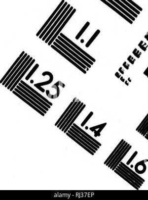 . Reise um die Welt in den Jahren 1823, 24, 25 und 26 [microform]. Reisen rund um die Welt; Zoologie; Voyages Autour du Monde; Zoologie. Bild TEST ZUR BEURTEILUNG ZIEL (MT-3) // tf! 4^4^1,0 1,1 11,25 125 laue £ f Bä 12.0. Bitte beachten Sie, dass diese Bilder sind von der gescannten Seite Bilder, die digital für die Lesbarkeit verbessert haben mögen - Färbung und Aussehen dieser Abbildungen können nicht perfekt dem Original ähneln. extrahiert. Kotzebue, Otto von, 1787-1846; Eschscholtz, Friedrich, 1793-1831. Weimar: W. Hoffman; St. Petersburg: J. Kurze Stockfoto