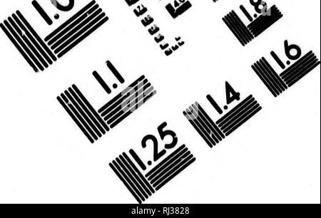 . Nieuwe ontdekkingsreize rondom de Wereld in de Jaren 1823, 24, 25 en 26 [microform]. Reisen rund um die Welt; Zoologie; Voyages Autour du Monde; Zoologie. Bild TEST ZUR BEURTEILUNG ZIEL (MT-S).&lt;/&amp; ^ 1,0 1,1 11,25 lil u lU. 1^u Ui lU u | 2.0 li U 11.6. Bitte beachten Sie, dass diese Bilder sind von der gescannten Seite Bilder, die digital für die Lesbarkeit verbessert haben mögen - Färbung und Aussehen dieser Abbildungen können nicht perfekt dem Original ähneln. extrahiert. Kotzebue, Otto von, 1787-1846; Eschscholtz, Friedrich, 1793-1831. Haarlem: De Mi. A. Loosjes Stockfoto