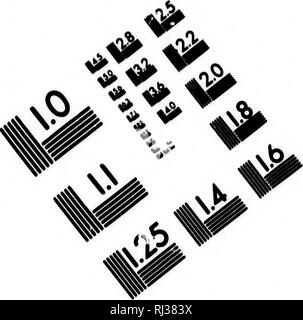 . Nieuwe ontdekkingsreize rondom de Wereld in de Jaren 1823, 24, 25 en 26 [microform]. Reisen rund um die Welt; Zoologie; Voyages Autour du Monde; Zoologie. Bild TEST ZUR BEURTEILUNG ZIEL (MT-3) k*â 3 Â"-*^^. Bitte beachten Sie, dass diese Bilder sind von der gescannten Seite Bilder, die digital für die Lesbarkeit verbessert haben mögen - Färbung und Aussehen dieser Abbildungen können nicht perfekt dem Original ähneln. extrahiert. Kotzebue, Otto von, 1787-1846; Eschscholtz, Friedrich, 1793-1831. Haarlem: De Mi. A. Loosjes Stockfoto