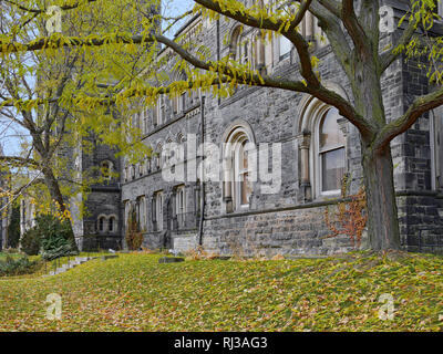 TORONTO - NOVEMBER 2018: Innenstadt Campus der Universität von Toronto hat die alten gotischen Stil Stein Hochschule Gebäude mit Bäumen, die in den hellen colo nehmen Stockfoto