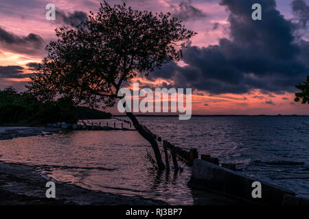 Eine erstaunliche Sonnenuntergang über die Tampa Bucht an diesem kühlen Herbstabend. Stockfoto