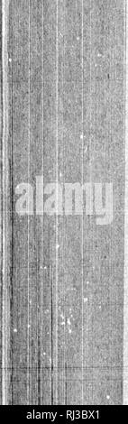 . Le Canada [microforme]: Landwirtschaft, Ã©levage, Ausbeutung forestiÃ¨re, Kolonisation. Landwirtschaft; ForÃªts; Landwirtschaft; Holzschlag. 148 ÃLEVAGE.. ment fÃ© Dekor ral et les Verwaltungen provinciales, fui accomplie dans le Bedingungen faisant honneur à Leur intelligente Initiative. De vÃ©ritÃ©, nous ne connaissons pas d'Beispiel oÃ¹ l'intervention officielle ait Pu avoir des effets plus bienfaisants sur le Dekor actions de Développement d'une grande industrie nationale. Un Service de l'industrie laitiÃ¨re, sous la Direction d'un commissaire expÃ©rimentÃ©, Le Professeur Robertson, fut crÃ©Ã© En 1892. Son siÃ¨ Stockfoto