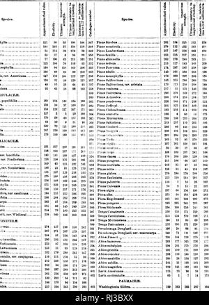 . In den Wäldern von Nordamerika [microform] Bericht: (ohne Mexiko). Bäume; Bäume; Wald; Wald und Forstwirtschaft; Holz; Arbres; Arbres; Bois; Forstwirtschaft; ForÃªts et Bois d'oeuvre. Die WÄLDER DER VEREINIGTEN STAATEN. 255 HIPPOLYTUSHOEF von KELATIVE WERTE - fortgesetzt. • 13 138 112 07 170 lul 56 20 Fl 207 148 22 158 245 211 244 12 (1 143 84 00 45 Bl 41 78 34 55 182 135 105 136 79 54 72 06 83 86 01 17 10 21 38 30 176 I 72 I 83 87 I02 u08 135I kn 7 noi Loi 1 77 81 57 44 116 115 411 122 70 • 3 .1 282 28.) 284 285 280 287 288 280 2 illl 201 20 J2n; ich 201 20.". 2 W 1 207 288: 00 301 3112 3 (j: i3U 7 308 300 300 Stockfoto