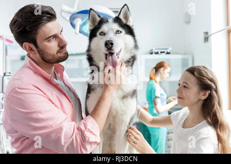 Besitzer streicheln Husky auf tierärztliche Klinik Stockfoto