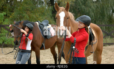 Junge Frauen Vorbereitung der Pferde für das Reiten. Stockfoto