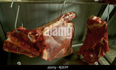 Schlachtkörper von rohem Rindfleisch Fleisch hängen an Haken. Stockfoto