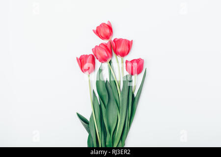 Blumenstrauß aus schönen rosa Tulpe Blumen mit grünen Blättern auf weißem Hintergrund, Ansicht von oben. Stockfoto