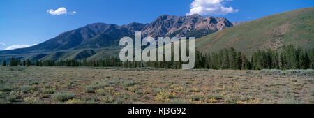 USA, Idaho, Sawtooth National Recreation Area, Wildblumen blühen auf Weideland unterhalb der Boulder Berge. Stockfoto