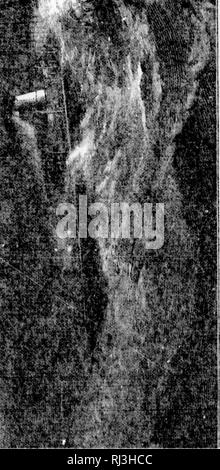 . Das Meer [microform]: seinem mitreißenden Geschichte von Abenteuer, Gefahr&amp; Heldentum. Abenteuer und Abenteurer; Reisen und Reisen; Meer; Aventures et aventuriers; Reisen; OcÃ© ein. -1 - 3. Bitte beachten Sie, dass diese Bilder sind von der gescannten Seite Bilder, die digital für die Lesbarkeit verbessert haben mögen - Färbung und Aussehen dieser Abbildungen können nicht perfekt dem Original ähneln. extrahiert. Whymper, Friedrich, b. 1838. London; New York: Cassel, Petter, Galpin Stockfoto