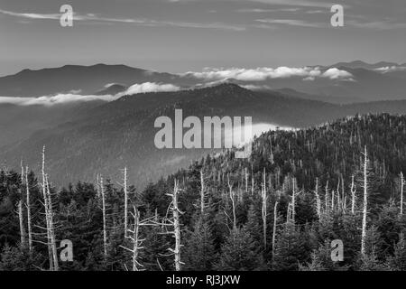 Ansicht von Nebel in den Smokies von Clingmans Kuppel Aussichtsturm in Great Smoky Mountains National Park, Tennessee. Stockfoto