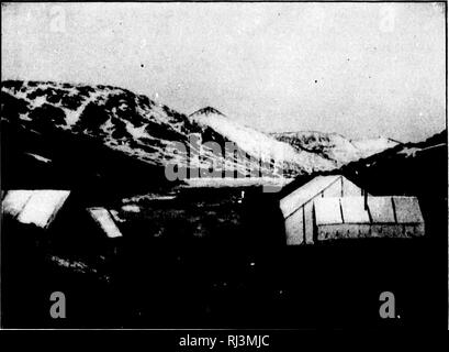 . Ergebnisse einer biologischen reconnoissance des Yukon River Region [microform]. Säugetiere; Säugetiere; Vögel; Vögel; Mammifères; Mammifères; Oiseaux; Oiseaux. ^m der Nordamerikanischen Fauna Nr. 19. Platte II. Abb. 1.- Gipfel des White Pass. I&gt;&lt;". Bitte beachten Sie, dass diese Bilder sind von der gescannten Seite Bilder, die digital für die Lesbarkeit verbessert haben mögen - Färbung und Aussehen dieser Abbildungen können nicht perfekt dem Original ähneln. extrahiert. Osgood, Wilfred Wilfred H. (Hudson), 1875-1947. Allgemeine Konto der Region, kommentierte Liste von Säugetieren; Bischof, Louis B. (Louis Bennett Stockfoto